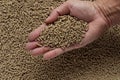 Animal feed mixed from finely ground protein powders of both plants and animals is pelleted to be used as pet food because pellets Royalty Free Stock Photo
