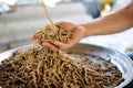 animal feed. mixed fodder pellet for fish Royalty Free Stock Photo