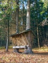 Animal feeder in Slovak forest