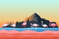 Animal flamingo place, natural landscape flat vector illustration. Beautiful poultry stand shallow water river, rock