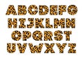 Animal font for posters. Mammals Fur. Leopard Jaguar. Retro alphabet. Vintage print skins typeface, editable and layered