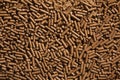 Animal food pellets. Background texture