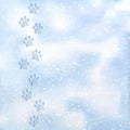 Animal foot prints to a snowy. Tracks in the snow. Dog footprints in the snow. Texture of snow surface. Vector Royalty Free Stock Photo