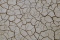 Animal footprints on dried soil. Cracked earth texture. Royalty Free Stock Photo