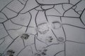 Animal footprints and human feet on the drying mud in the Kuyalnik Estuary, where salt was mined in the 18th century Royalty Free Stock Photo