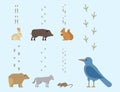 Animal footprints include mammals and birds foot print trace wildlife track steps wild nature silhouette vector