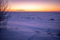 Animal footprints and trace in the snow, sunset landscape background photo Royalty Free Stock Photo