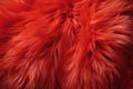 Animal fur macro shot, natural texture. AI Generated Royalty Free Stock Photo