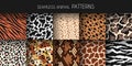 Animal fur seamless patterns. Leather and skin prints, natural fauna backgrounds, zoo mammals and reptiles textures Royalty Free Stock Photo