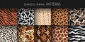 Animal fur seamless patterns. Leather and skin prints, natural fauna backgrounds, zoo mammals and reptiles textures, zebra jaguar Royalty Free Stock Photo