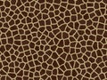 Animal fur texture - giraffe