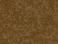 Animal fur texture - leopard