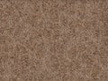 Animal fur texture- rabbit