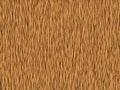 Animal fur texture -tiger orange