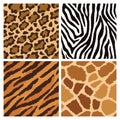 Animal Fur Textures Royalty Free Stock Photo