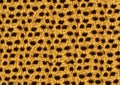 ANIMAL FURS SKIN CHEETAH FUR smooth Royalty Free Stock Photo