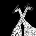 Animal giraffe africa illustration safari mammal cute afr