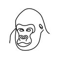 Animal gorilla icon design. Vector, clip art, illustration, line icon design style Royalty Free Stock Photo