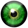Animal green 3d eyeball with black round and white background, animal eye texture Royalty Free Stock Photo