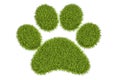 Animal green grass footprint, 3D rendering Royalty Free Stock Photo