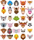 Animal head cartoon collection