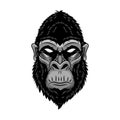 Gorilla head, ape, monkey. wild logo vector illustration, handrawn