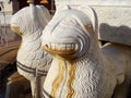 Animal head water fountain