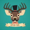 Animal hipster portrait Royalty Free Stock Photo