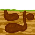 Animal hole and burrow. Scheme of hiding insects and rodents Royalty Free Stock Photo