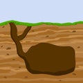 Animal hole and burrow. Scheme of hiding insects and rodents Royalty Free Stock Photo