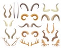 Animal horns and antlers, antelope, ram, moose, reindeer horn. Wild animals hunting trophies, deer antler, buffalo and Royalty Free Stock Photo