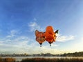 Animal hot air balloons over a foggy lake at Balloons over Waikato Festival