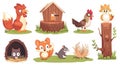 Animal house with pets, domestic or wild animals. Modern illustration with cute characters including chicken and coop