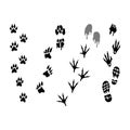Animal and Human Footprints Collection Royalty Free Stock Photo