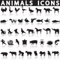 Animal icons set