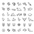 Animal icons. vector outline icon set. Zoo Royalty Free Stock Photo