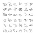 Line animals concepts. Vector thin Icons set Royalty Free Stock Photo