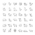 Line animals consepts, Icons set Royalty Free Stock Photo