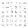 Animal icons. Zoo icons. Animals