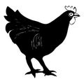 Black hen on a white background. Animal illustration Royalty Free Stock Photo