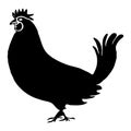 Black rooster on a white background. Animal illustration Royalty Free Stock Photo