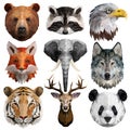 Animal illustration set. Bear, racoon, bald eagle, fox, elephant, wolf, tiger, deer, panda.