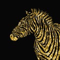 Animal illustration of vector zebra silhouette with golden sparkley elements.