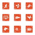 Animal inspector icons set, grunge style Royalty Free Stock Photo