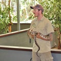 An animal keeper with a python