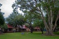 Lower sabie national park kruger south africa