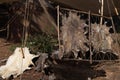 Animal leather drying at the sun in a Medieval camp, Santa Maria da Feira.