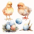 Animal_Little_Chick_Watercolor1_5