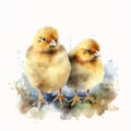 Animal_Little_Chick_Watercolor1_8