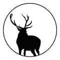 The animal logo with deer concept